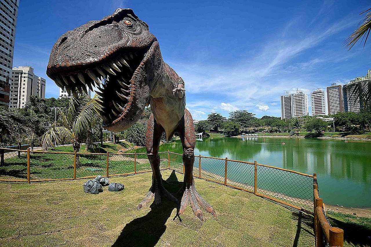 Parques públicos de Salvador serão fechados; veja todas as medidas de restrição