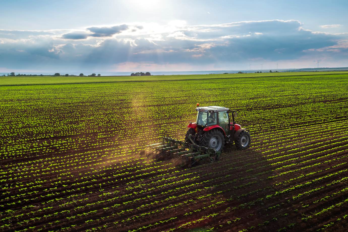 Agronegócio baiano cresce 11,2% no quarto trimestre de 2020