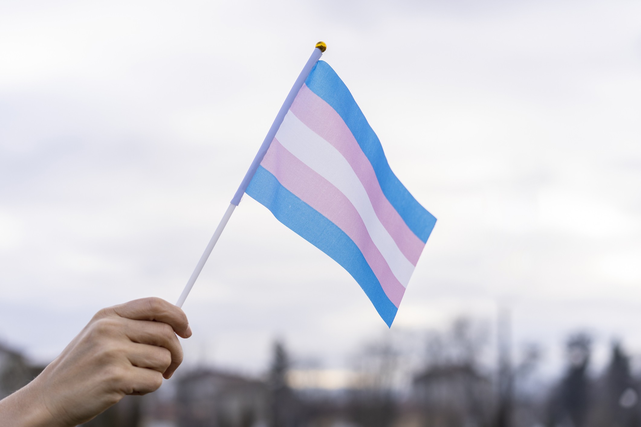 31 de março: Dia Internacional da Visibilidade Trans