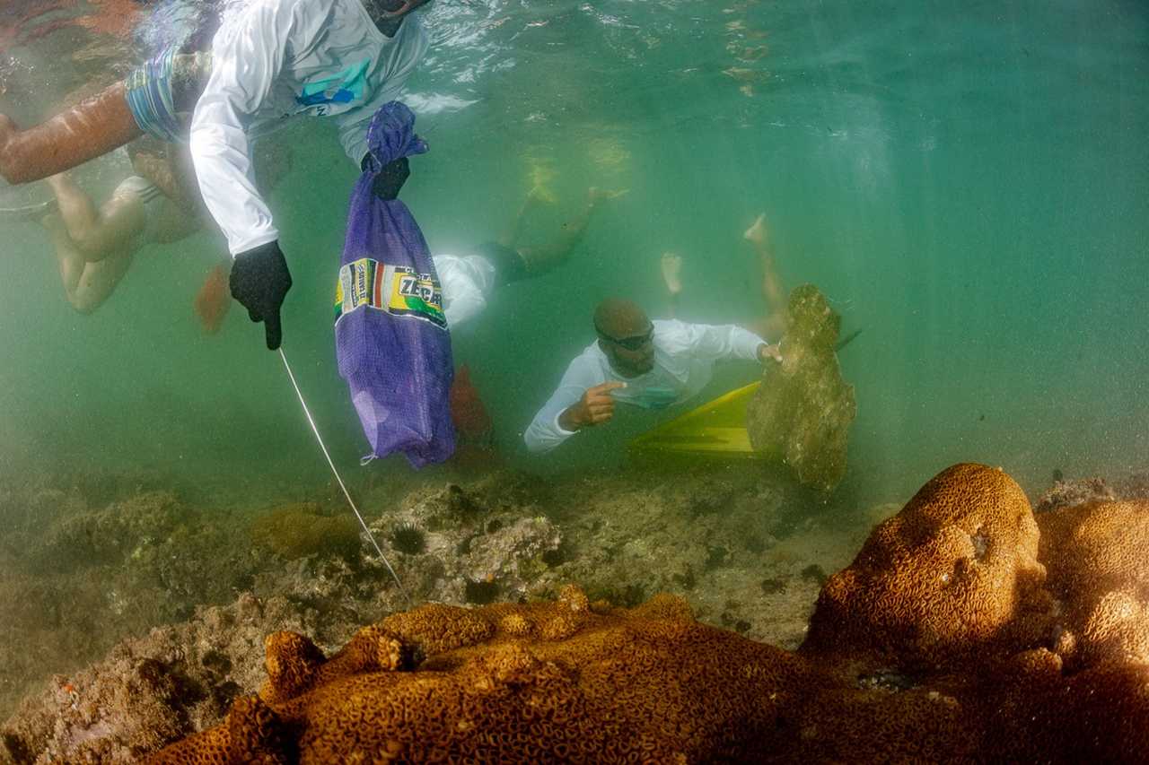 Paramana Nature coleta resíduos na Baía de Todos-os-Santos