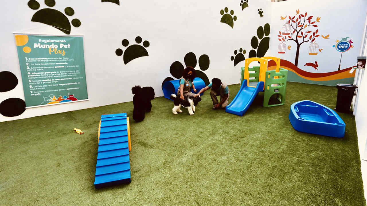 Pets ganham primeiro parque de diversão de Salvador