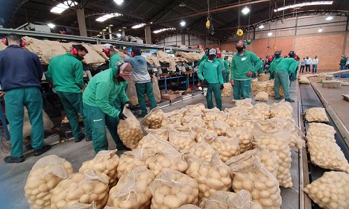 Bahia se mantém lider geração empregos no Nordeste