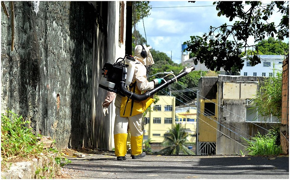 Após registrar metade das ocorrências do país, Bahia tem 70% menos casos de Chikungunya