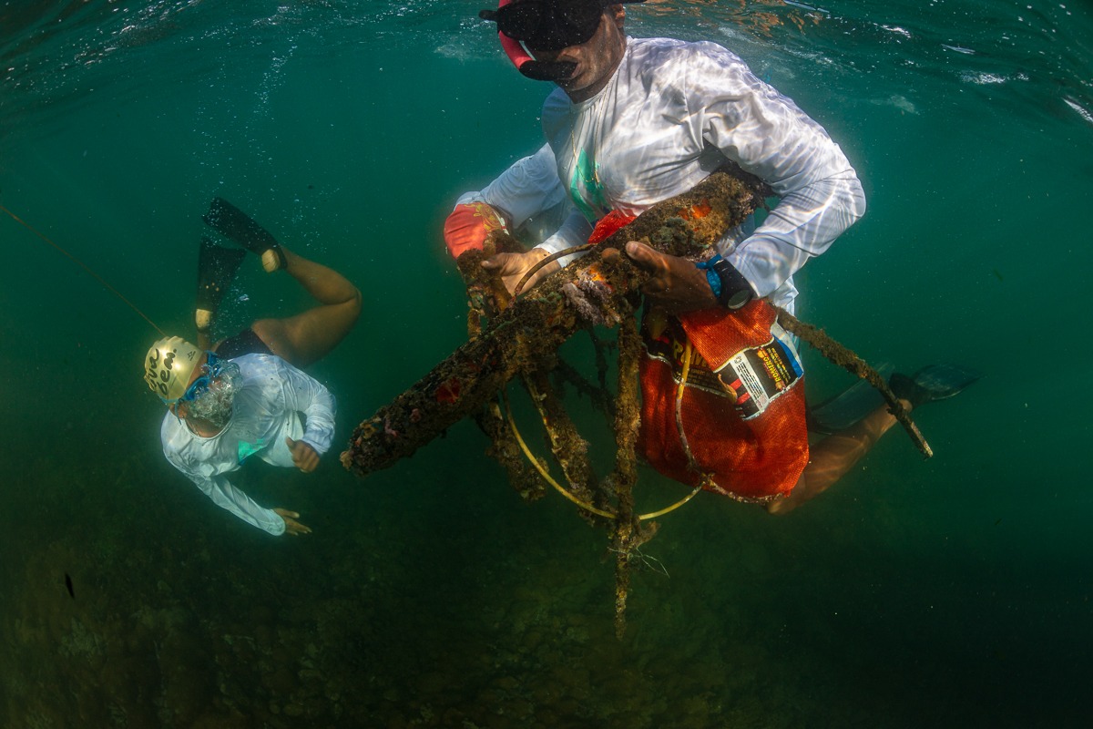 Paramana Nature celebra Dia da Baía de Todos os Santos