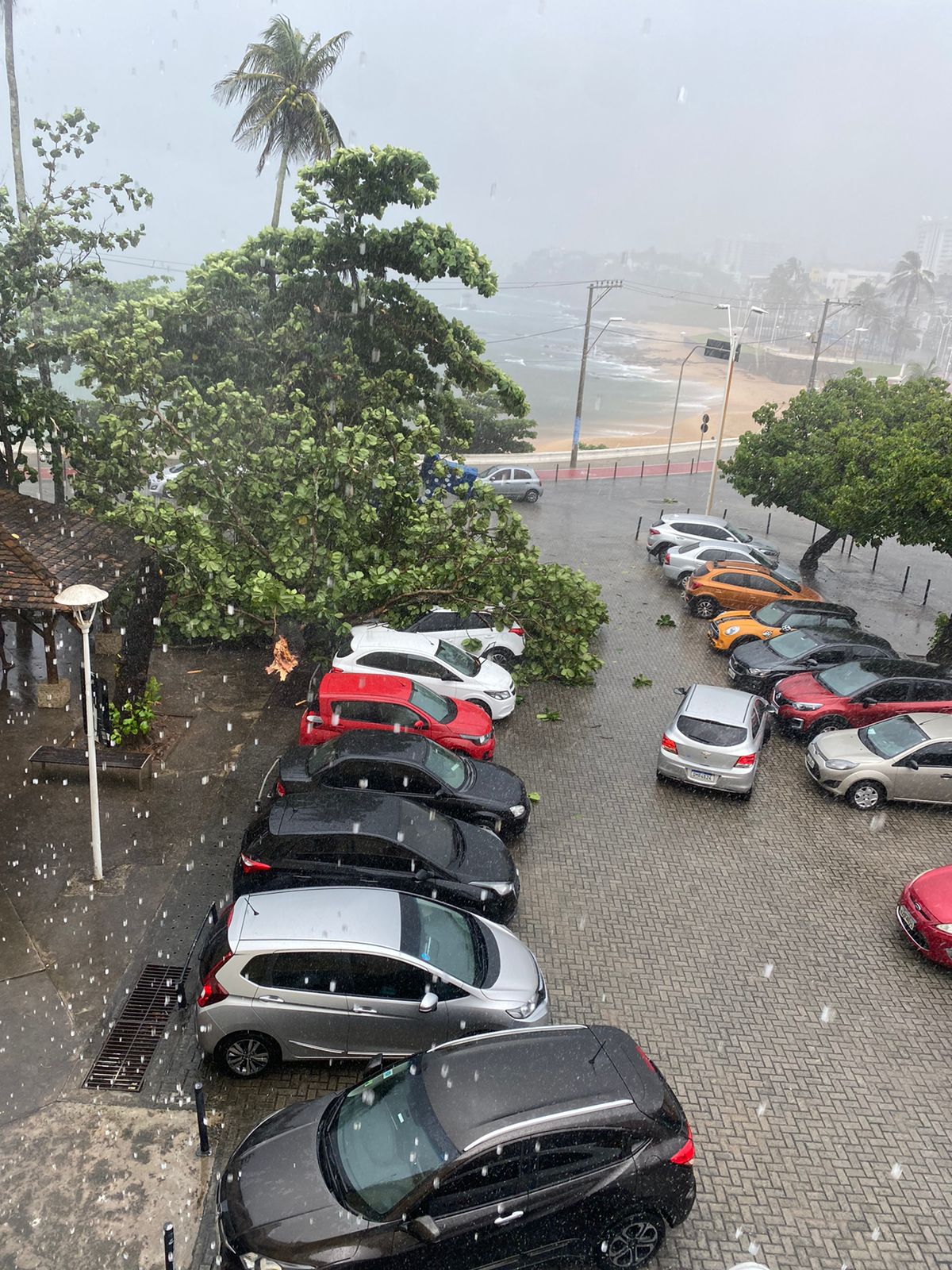 Fortes ventos e muita chuva assolam Salvador na tarde desta terça-feira