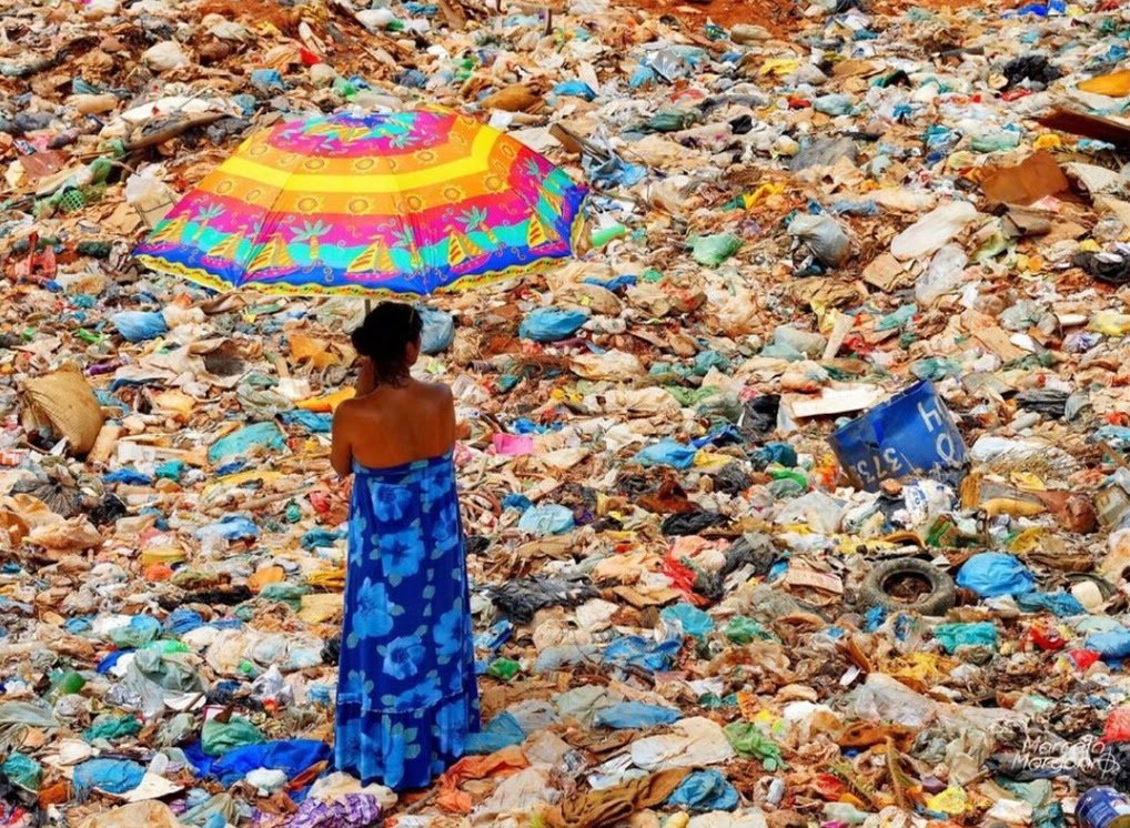 Meio ambiente: Embaixada dos EUA promove exibição fotográfica sobre o tema em Salvador