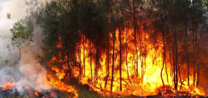 ABAF lança Campanha de Prevenção e Combate aos Incêndios Florestais 2023