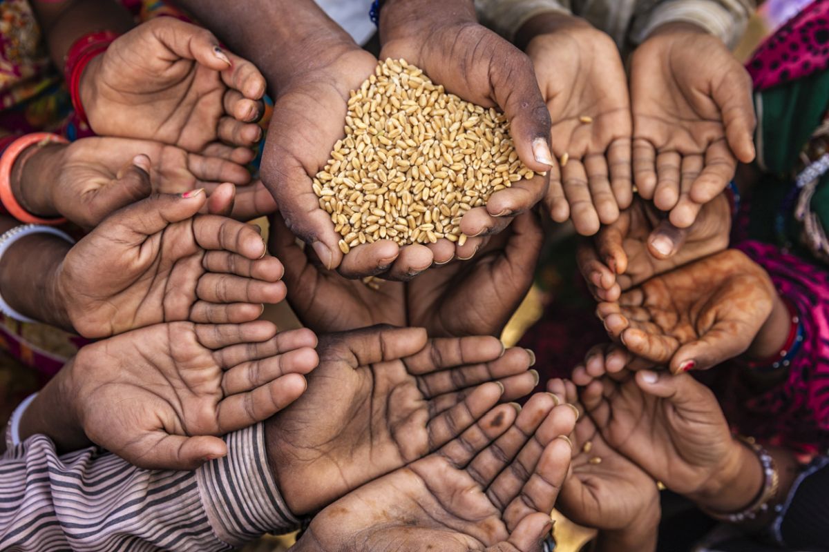 Instituto Terra Firme anuncia edital voltado para o combate à fome e à insegurança alimentar na Bahia