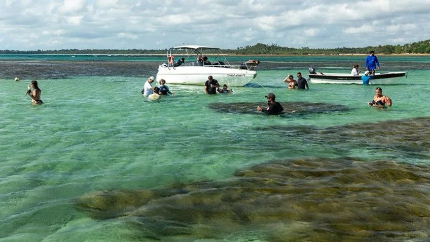 Turismo na Bahia cresce acima da média nacional; Agência Bahia Terra mostra principais destinos