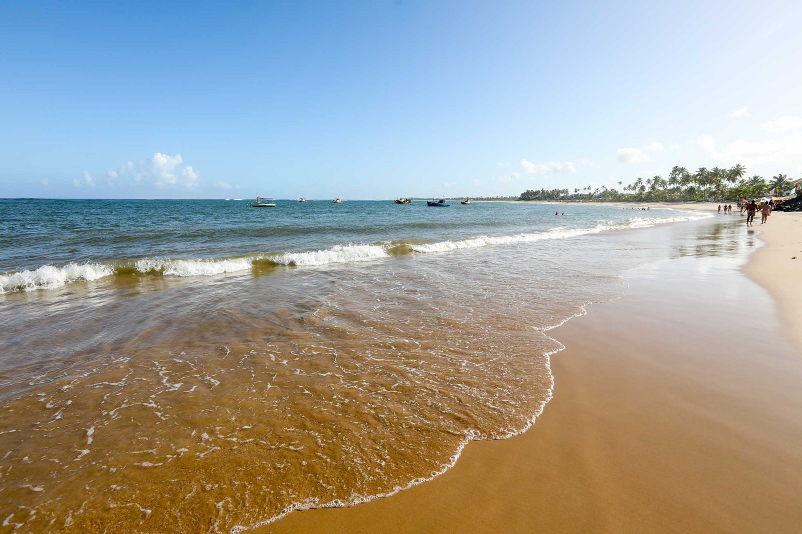 Iniciativa ambiental promove limpeza das praias de Guarajuba