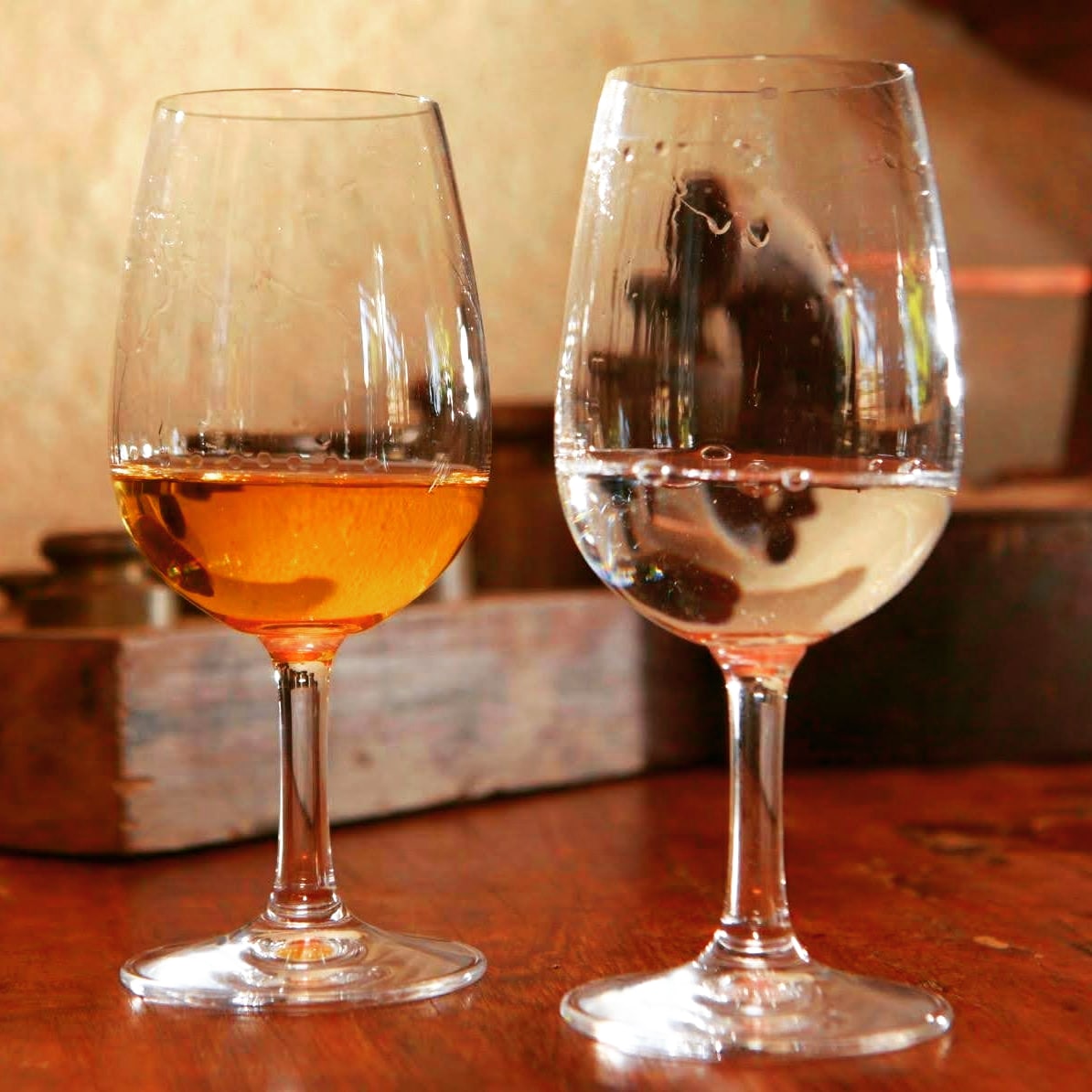Bahia marca presença no Festival de Cachaças de Brasília com oito produtores selecionados