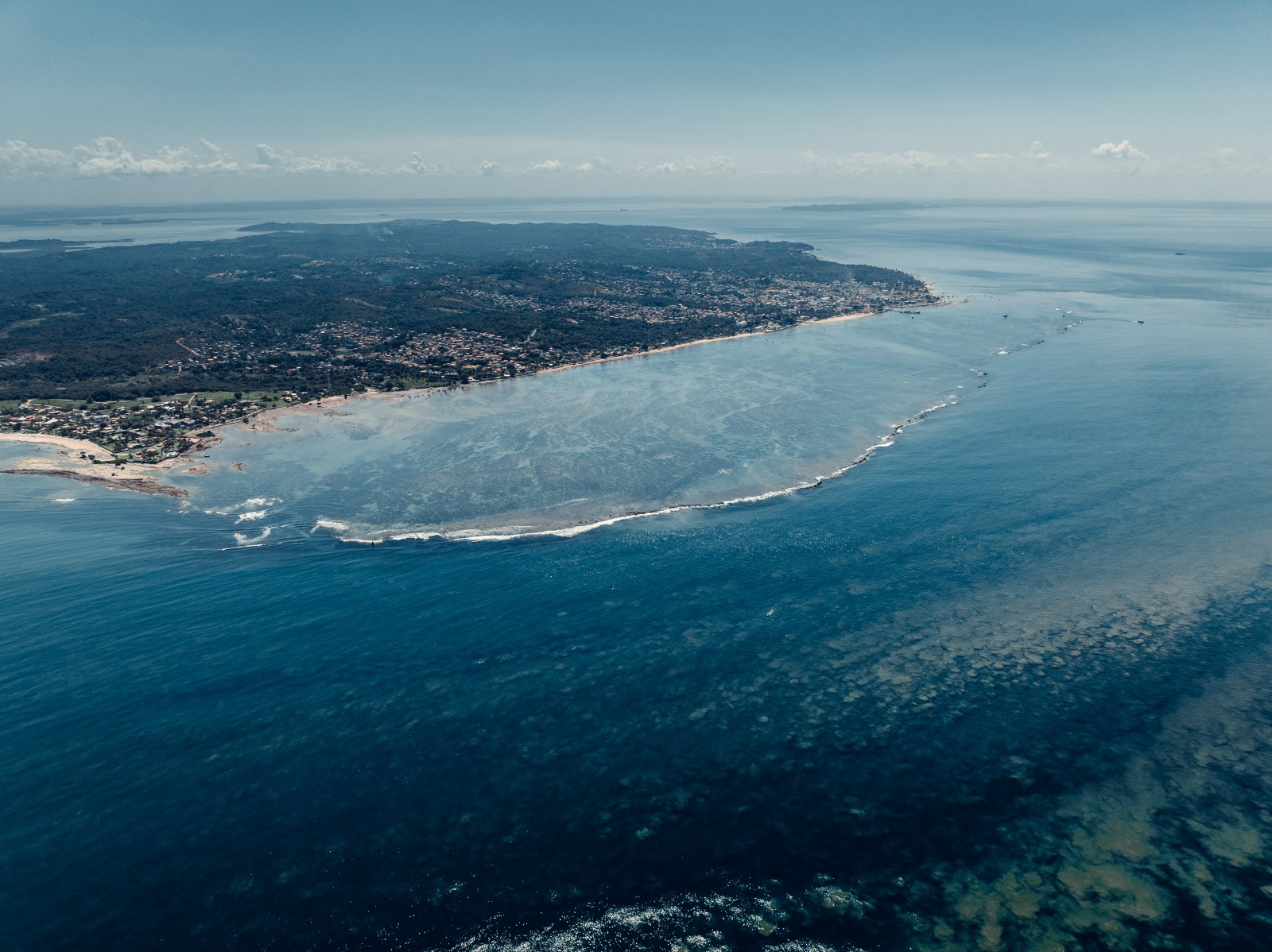 Bahia realiza sua 1ª Semana Oceânica com foco na restauração de corais e conservação marinha