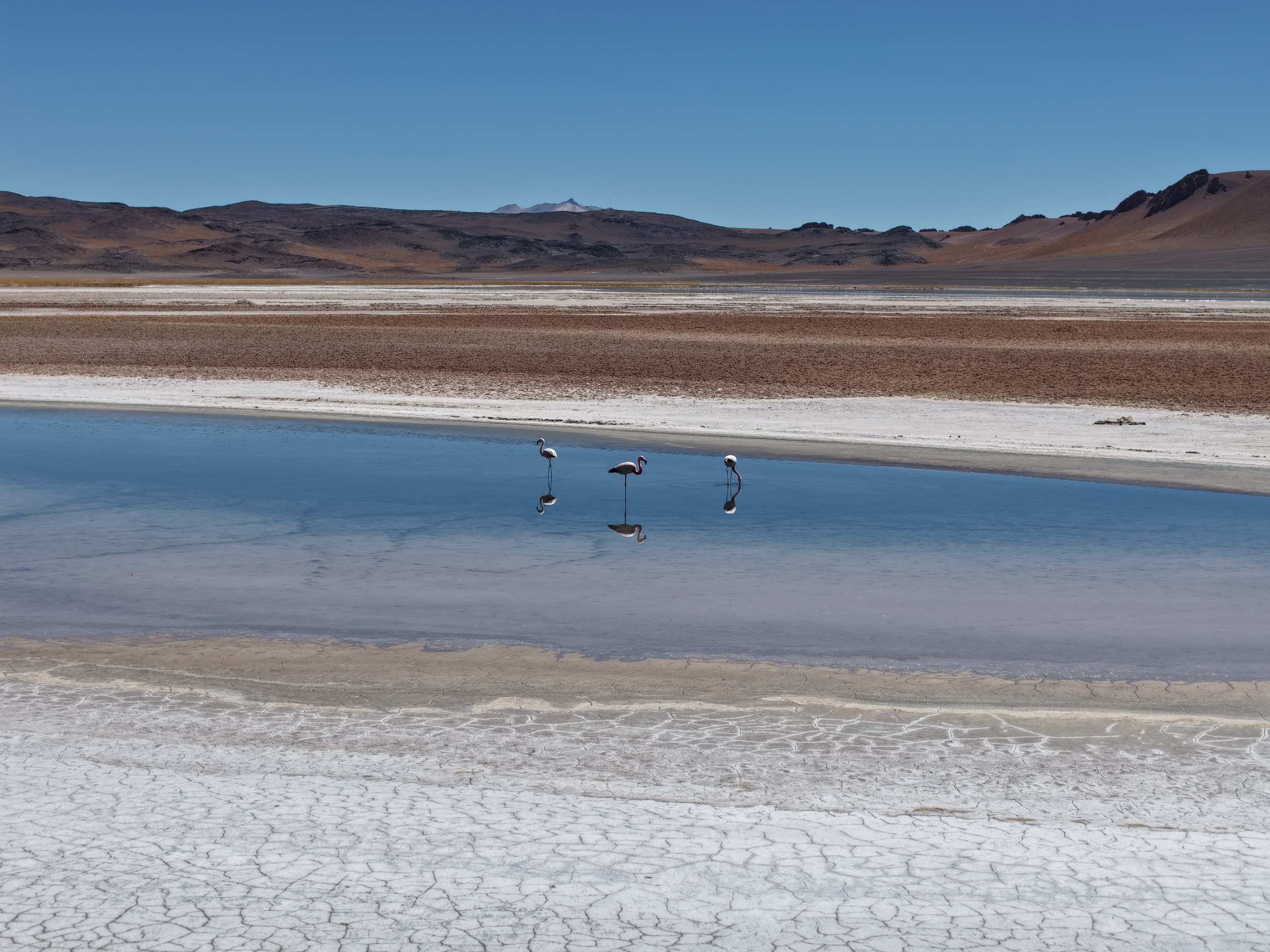 Horizonte sem fim: Por que o Deserto do Atacama deve estar na sua lista de próximos destinos