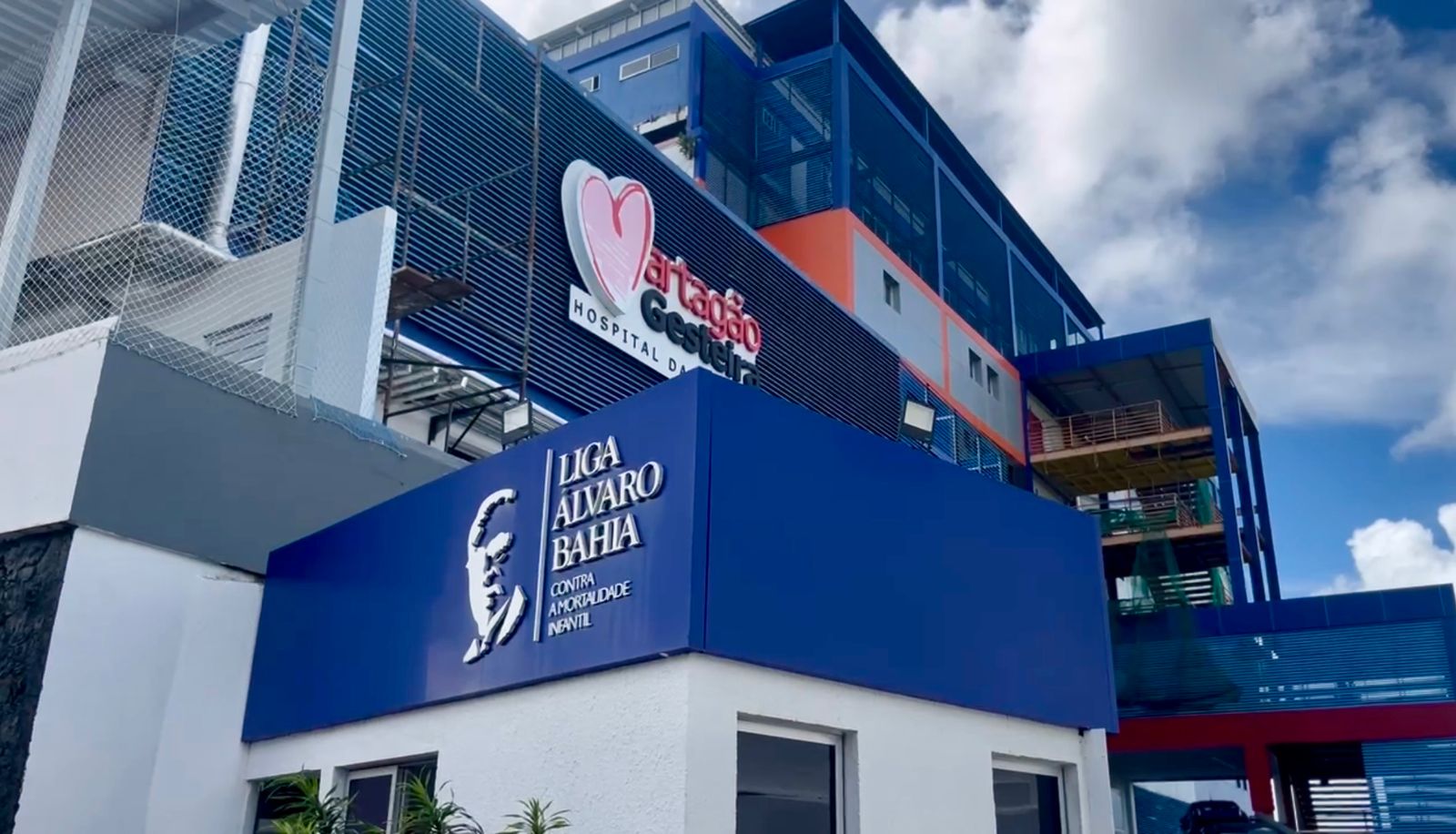 Campanha do McDia Feliz ajudará Martagão Gesteira a realizar novos transplantes de medula óssea