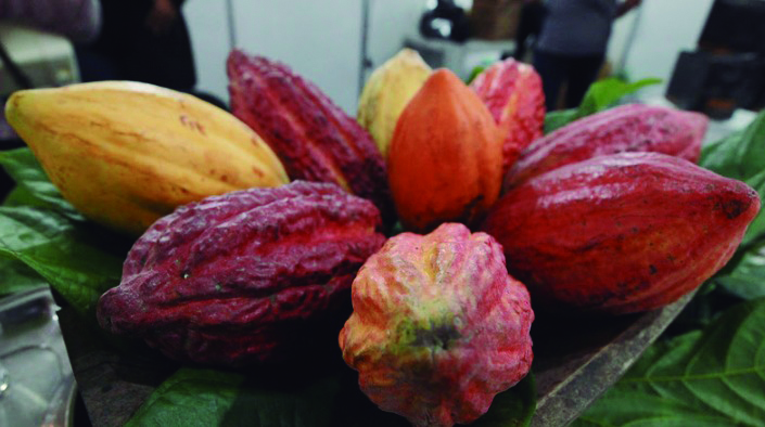 Coluna Agro da Revista Let's Go Bahia destaca avanços e novidades do setor na Bahia