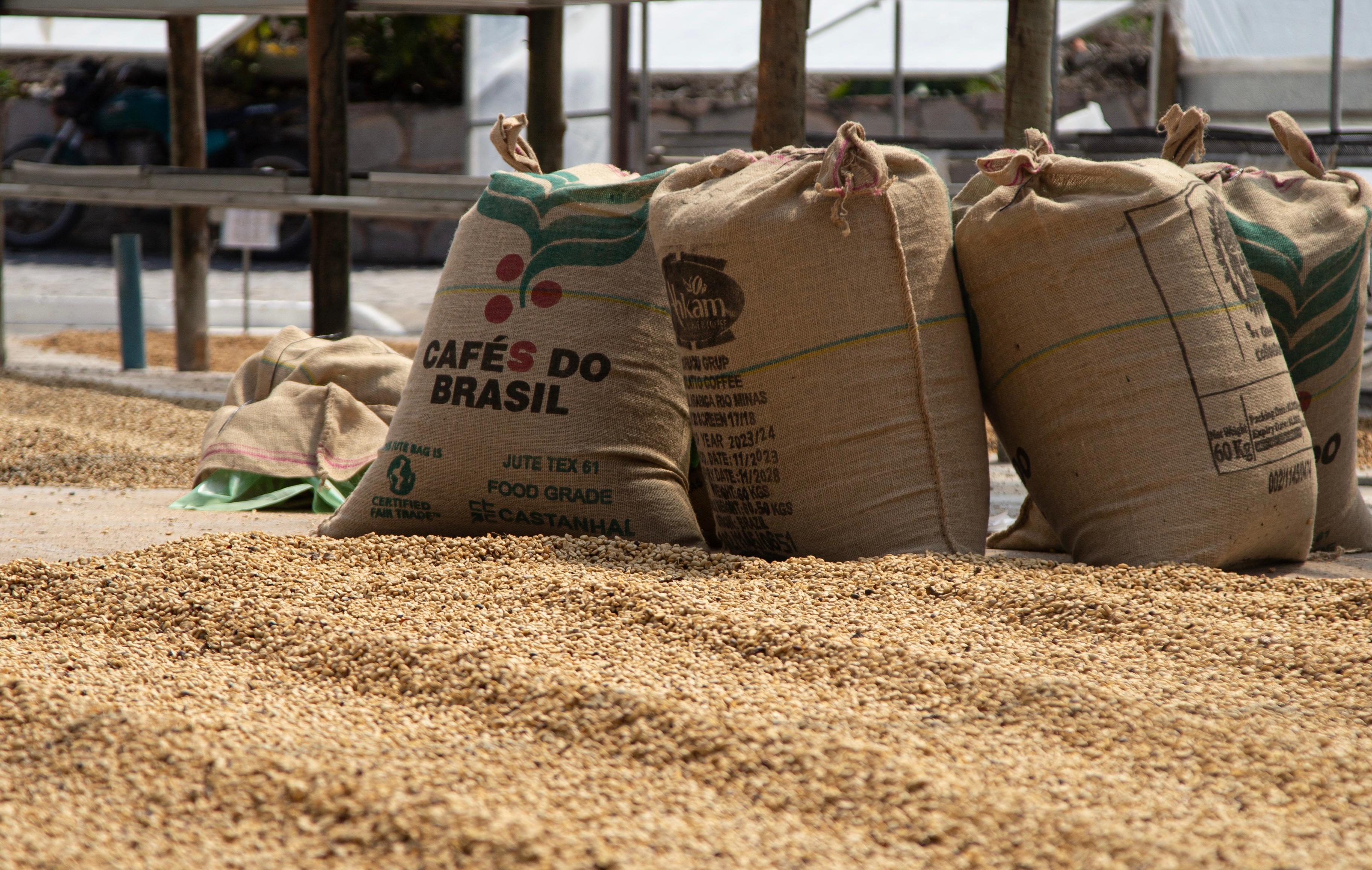 ‘Experiência além da xícara’: Festival Baiano de Cafés 2025 abre venda de ingressos