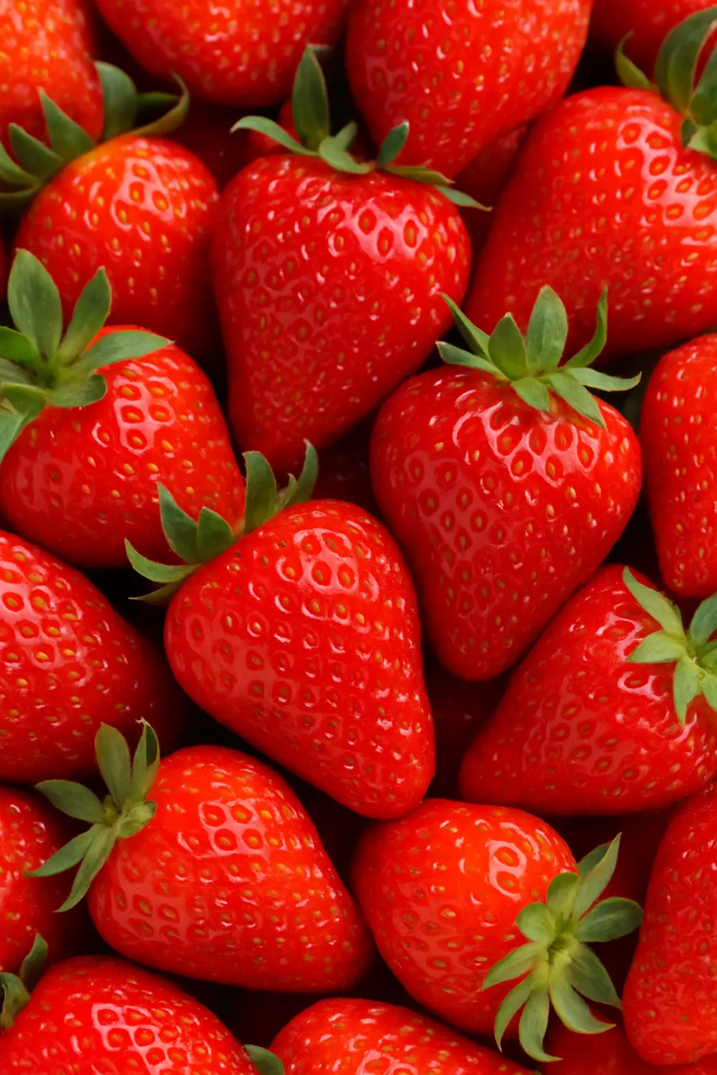"Morango do amor" viraliza e pressiona preço da fruta na Bahia