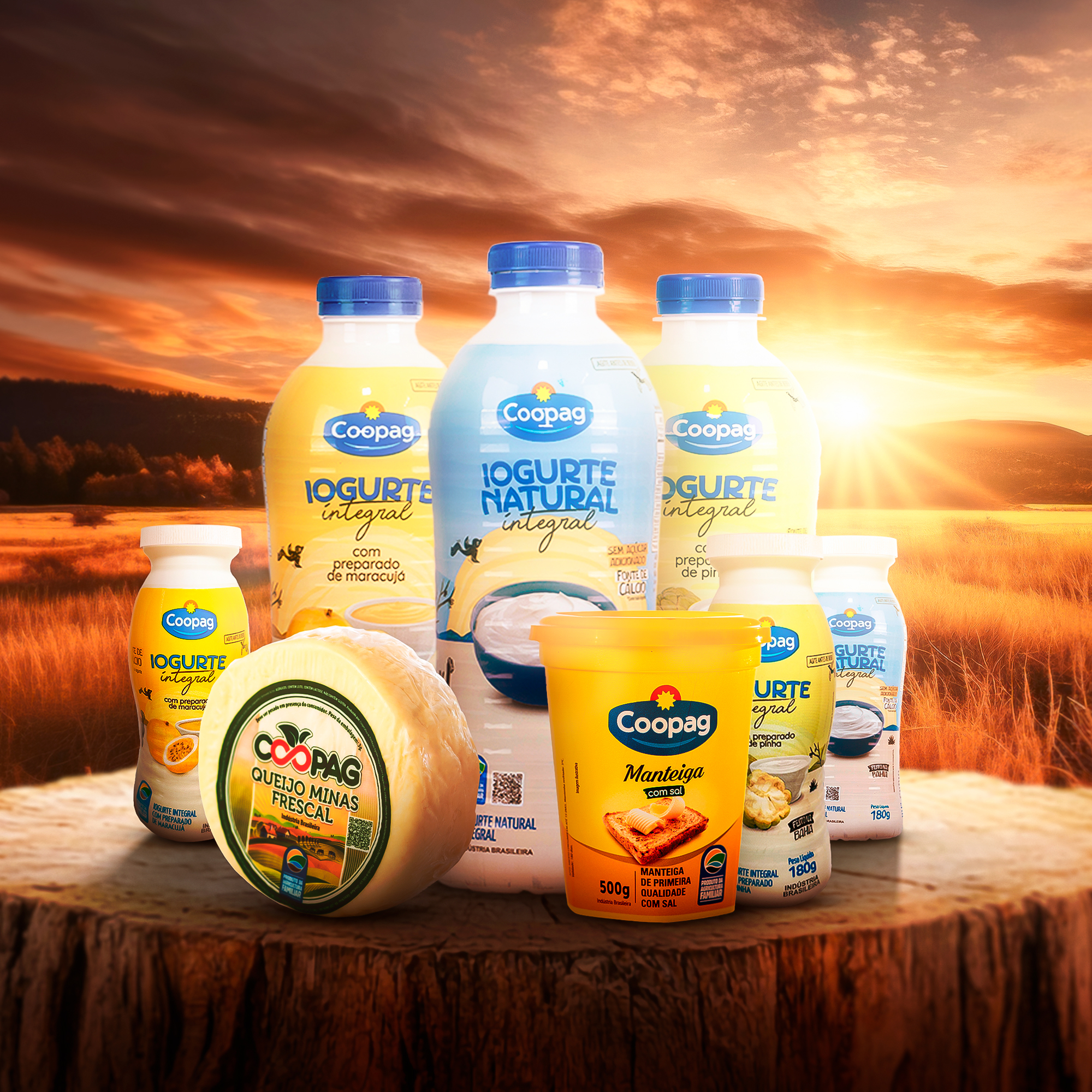 Sabores da terra ganham protagonismo com a Agricultura Familiar na Superbahia 2025