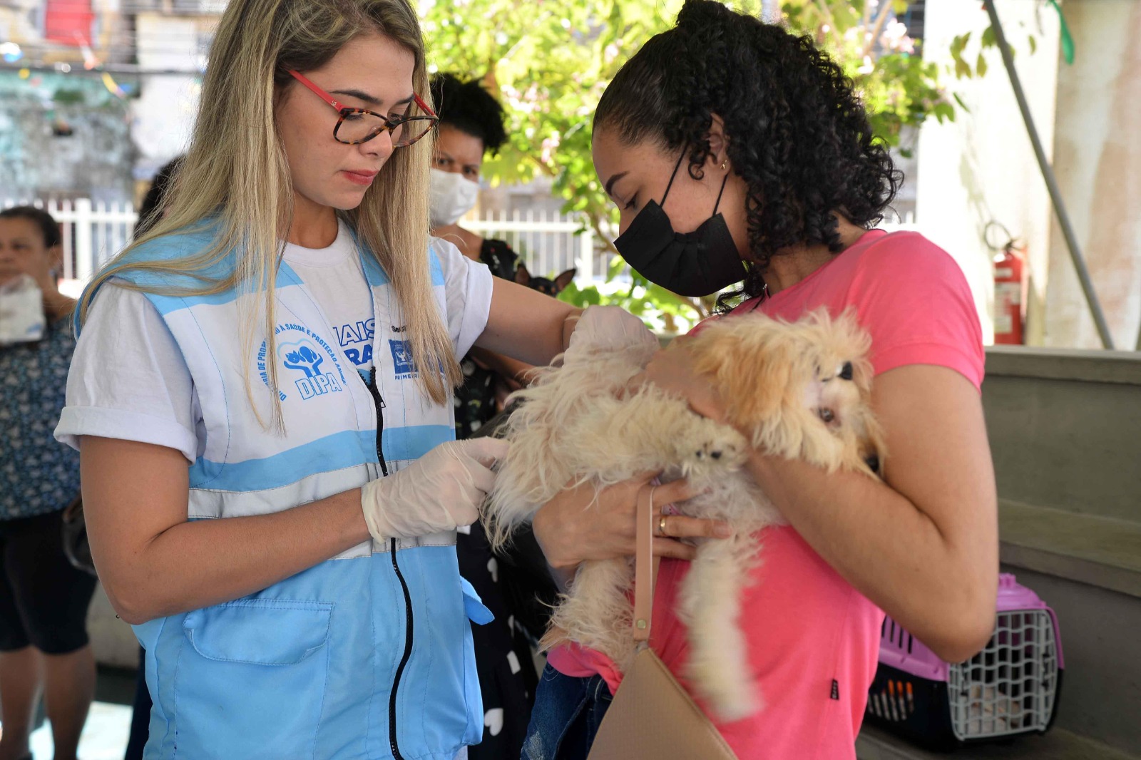 Campanha de Vacinação Antirrábica Animal começa em Salvador com mais de 90 pontos de atendimento