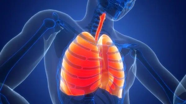 Respirar bem é viver melhor: Dia do Pulmão alerta para doenças silenciosas