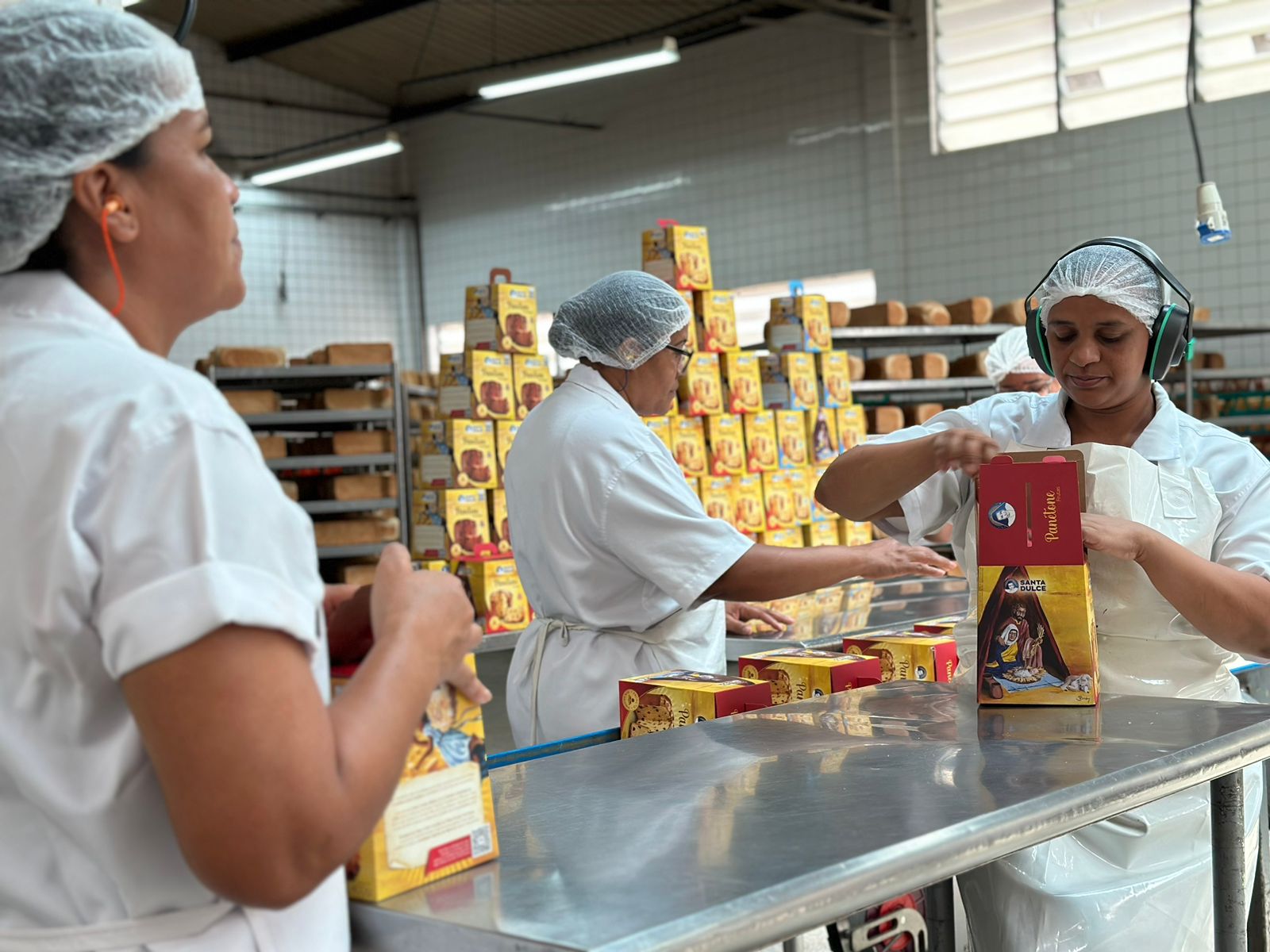 Indústria de Panificação das Obras Sociais Irmã Dulce inicia produção do Panetone Santa Dulce para o Natal 2025