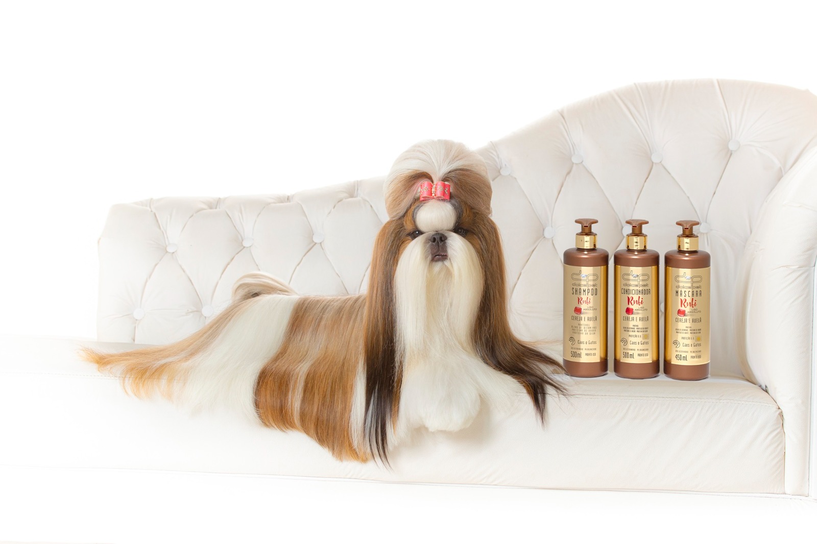 Mercado de estética pet deve movimentar US$ 3,2 bilhões até 2032 e aposta em formulações inteligentes para cuidar da pele dos animais