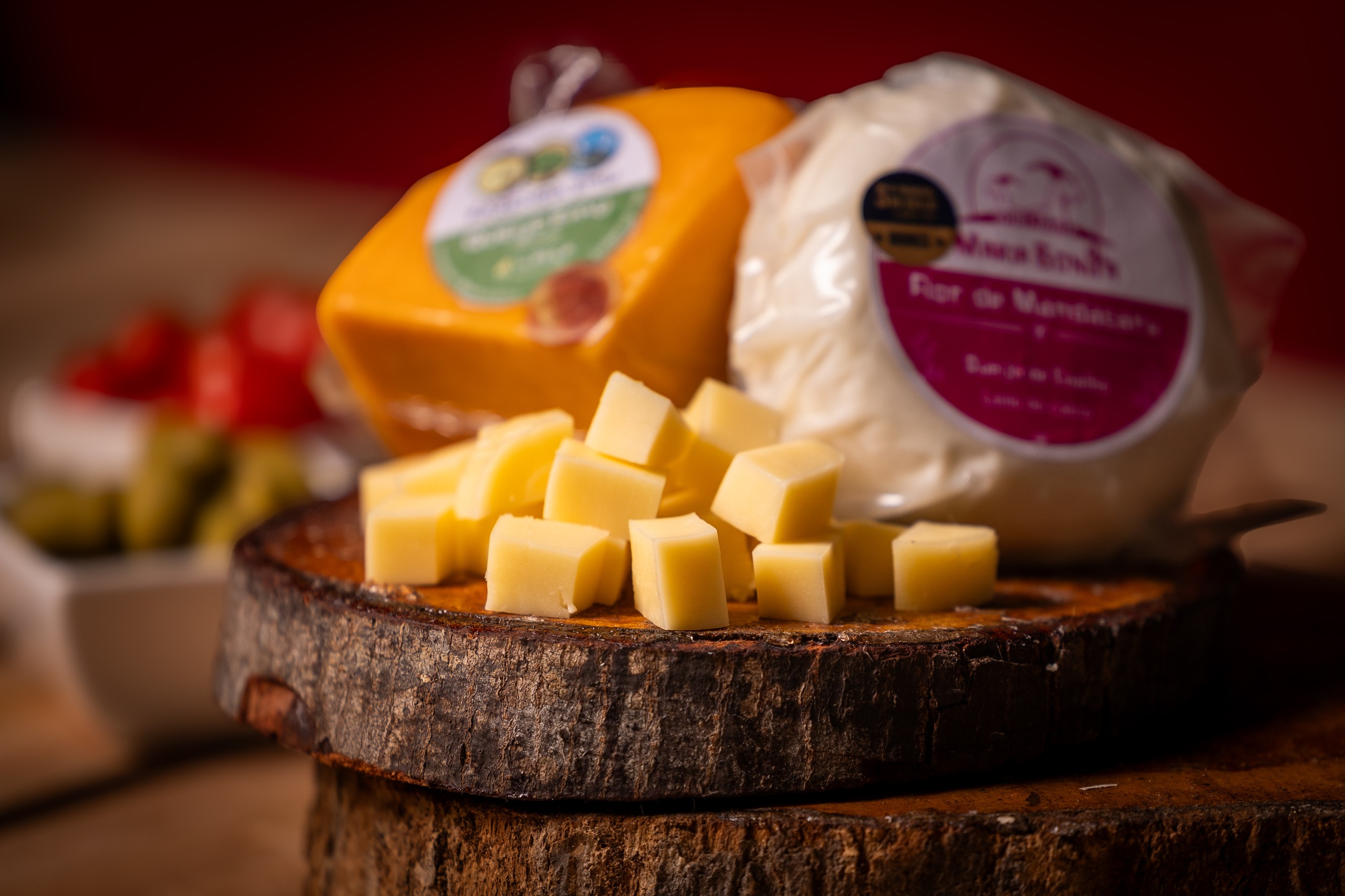 Festival do Queijo Artesanal começa hoje no Mercado do Rio Vermelho com entrada gratuita