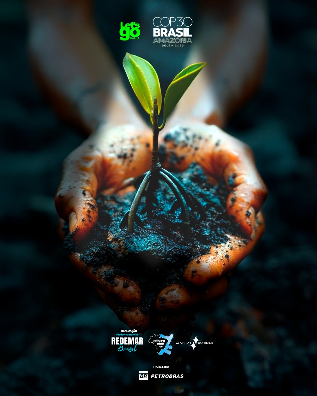 Amapá: Onde a Amazônia Verde Encontra a Amazônia Azul!