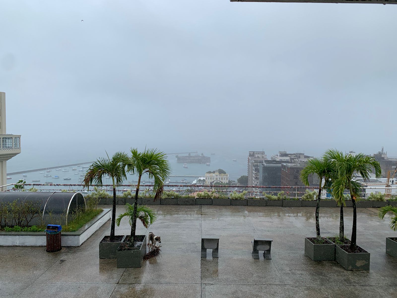 Salvador entra em nível de atenção após fortes chuvas e previsão de instabilidade