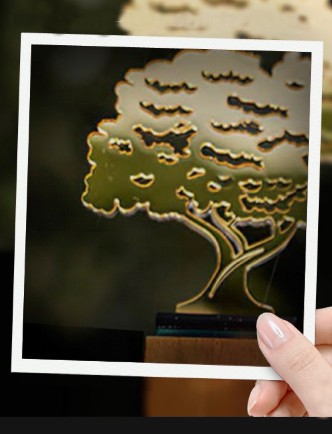 Baianas no topo: Darana RP e Comunicativa são finalistas do prestigiado Prêmio Jatobá PR 2025