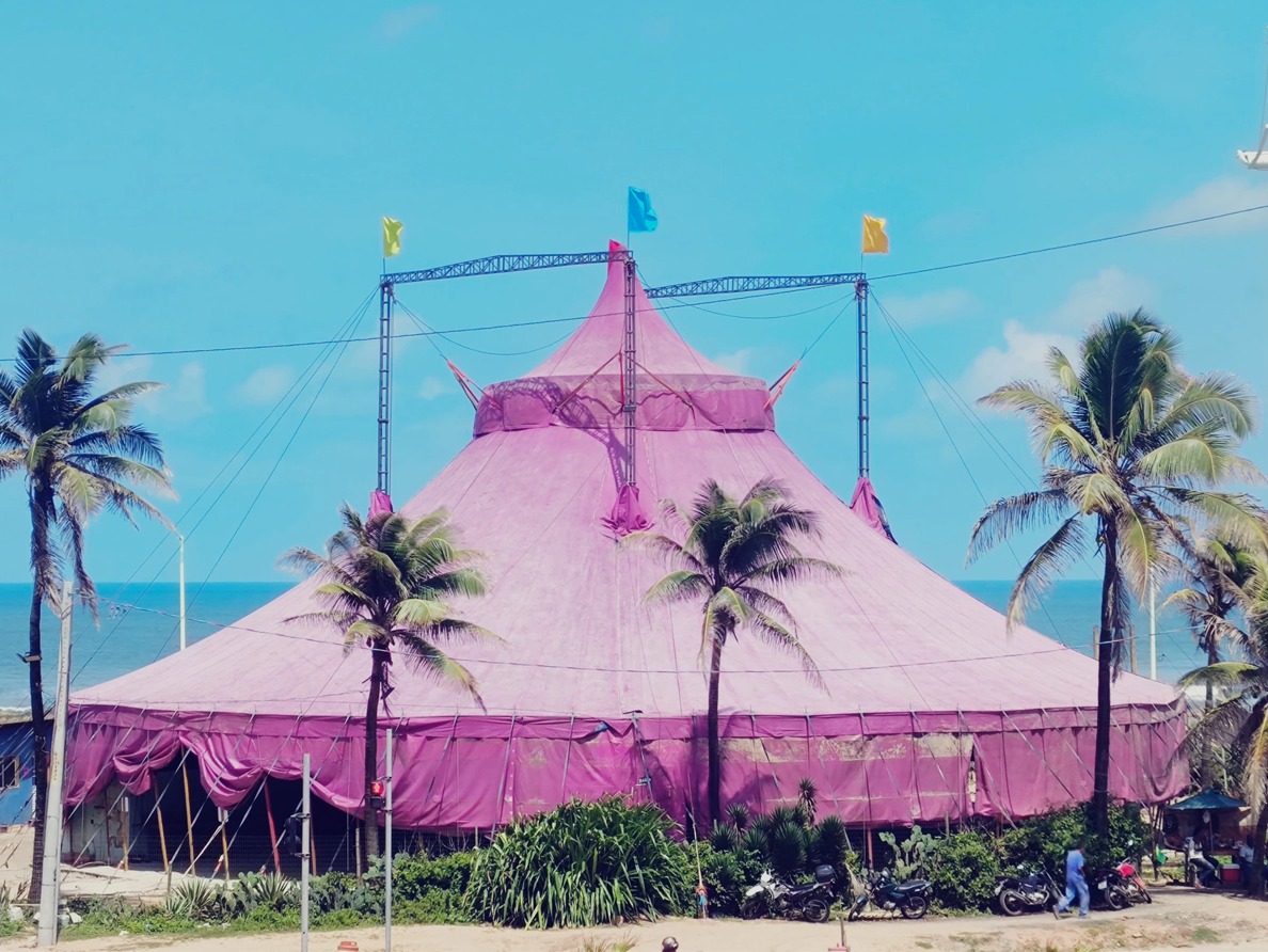 Circo Picolino celebra 40 anos com festival internacional em Salvador