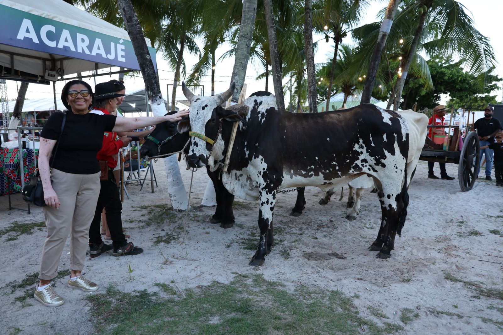 Fenagro 2025 é aberta em Salvador com expectativa de 200 mil visitantes até domingo (7)
