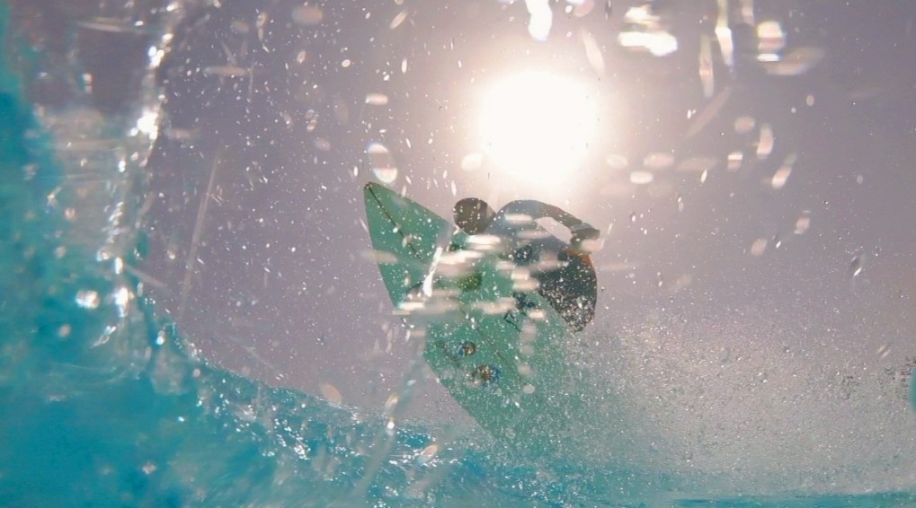 Unindo surf e vida saudável Arno Anhelli anuncia parceria oficial com o Poke Garden.