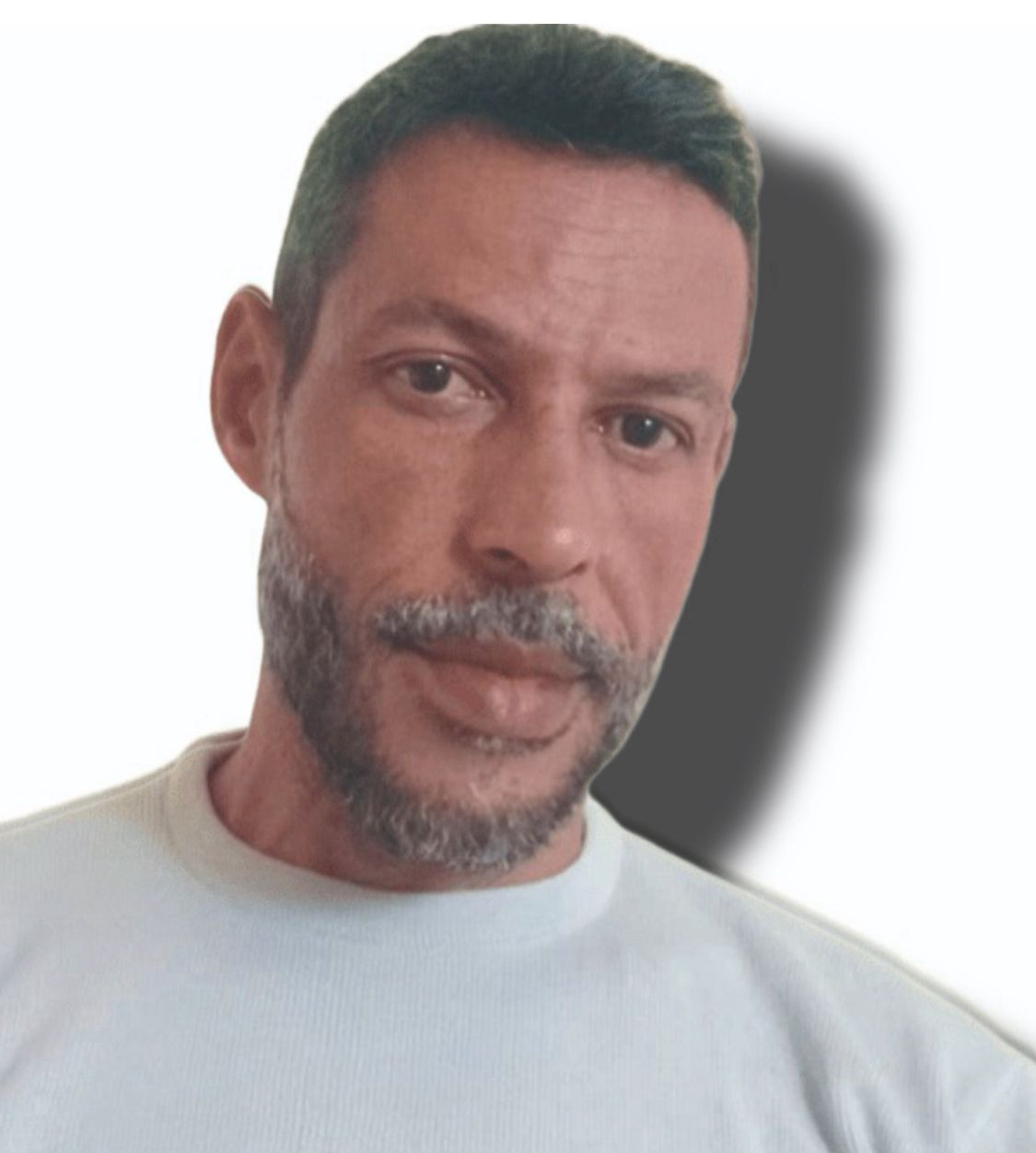 Aos mestres, com carinho