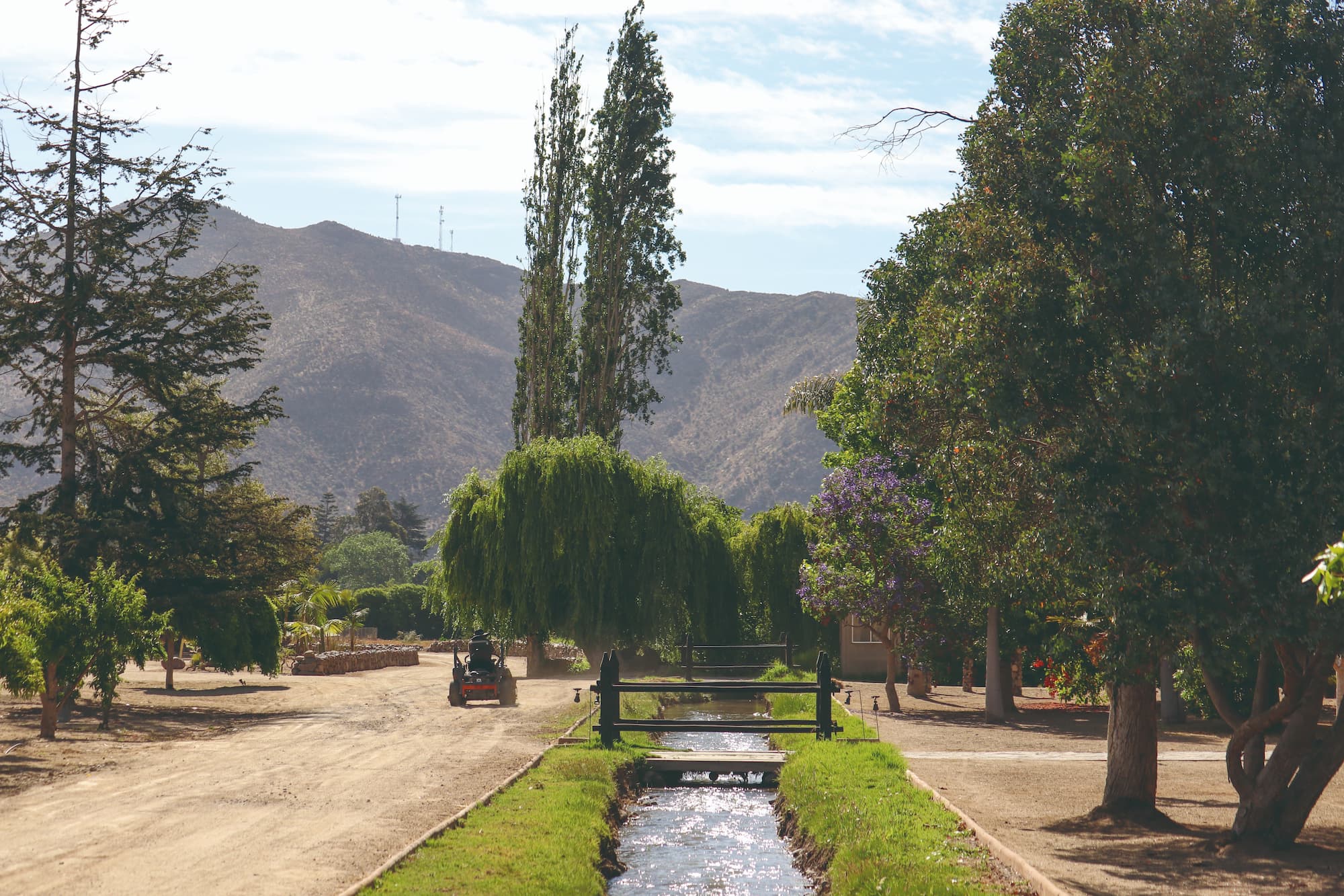 A região de Coquimbo, no Chile, é o destaque do casal Daqui de Salvador na nova edição da Revista Let's Go Bahia