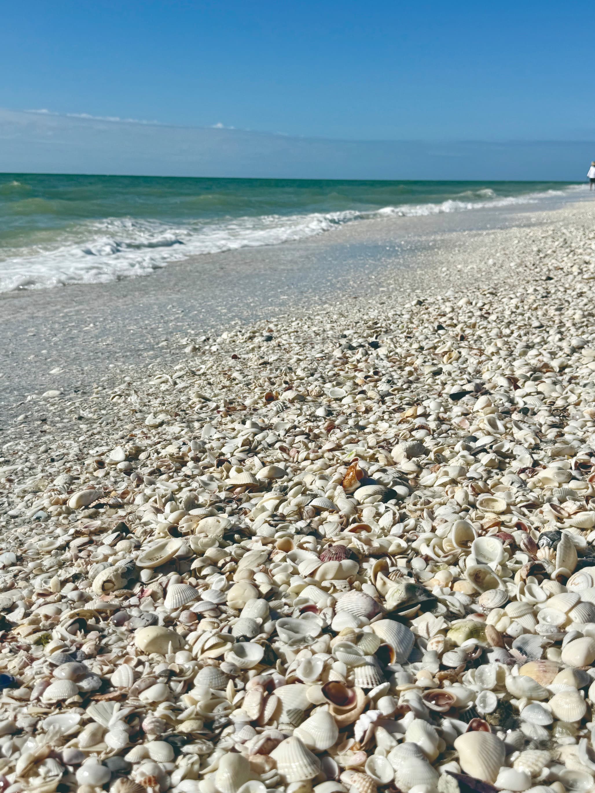A Let's Go Bahia faz um passeio pela Costa Oeste da Flórida na nova edição da revista