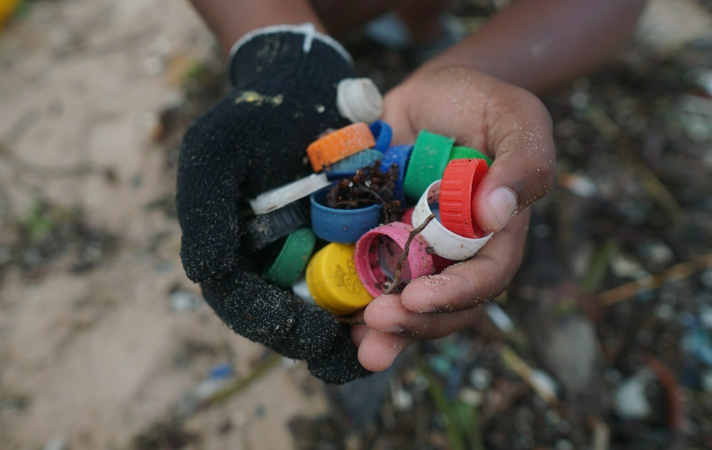Projeto Mares promove mutirão ambiental e ação subaquática na Ilha de Itaparica
