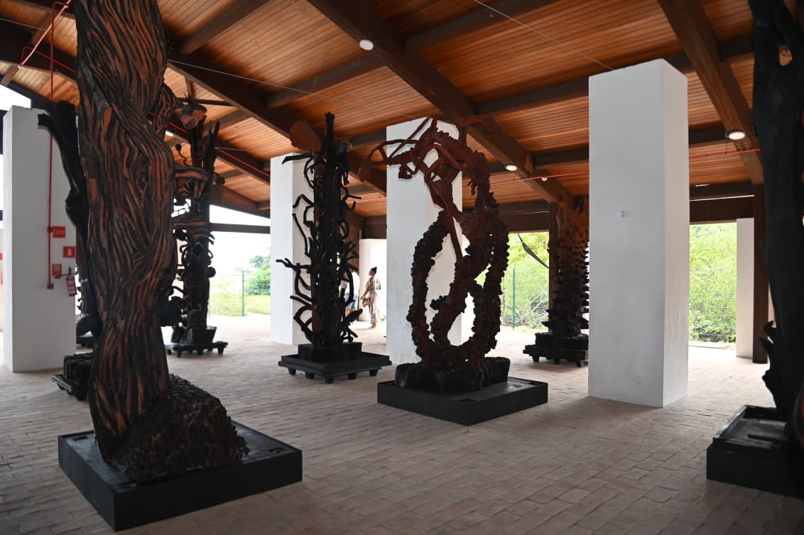 Exposição reúne 46 obras de Frans Krajcberg no Museu do Recôncavo, em Candeias