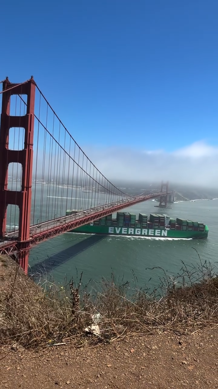 Gigante dos mares chama atenção ao passar sob a ponte Golden Gate