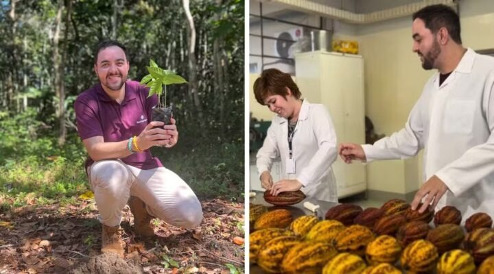 Startup transforma resíduos do cacau da Bahia em alimentos e atrai atenção de Nestlé e Unesco