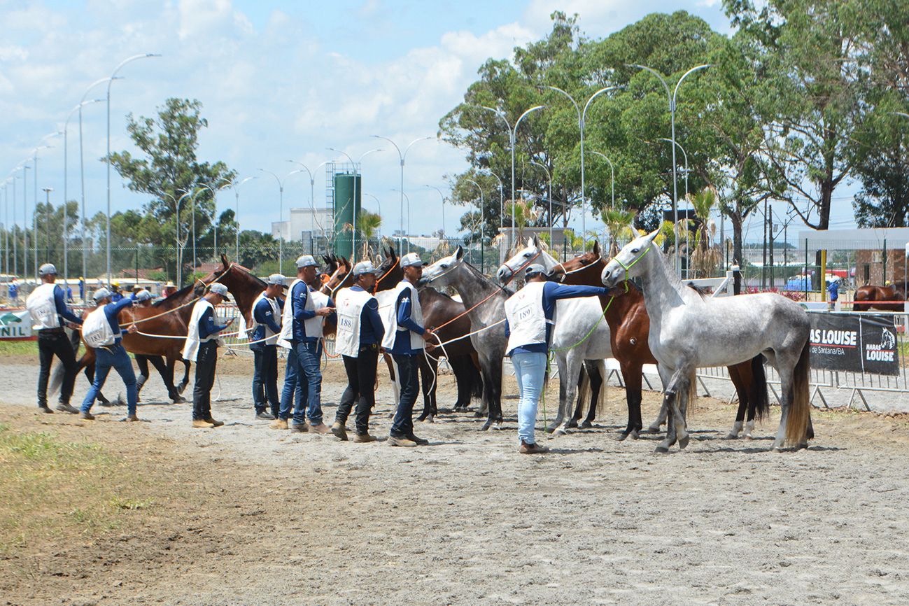 Expofeira 2026 terá oito dias de programação gratuita em Feira de Santana; confira atrações