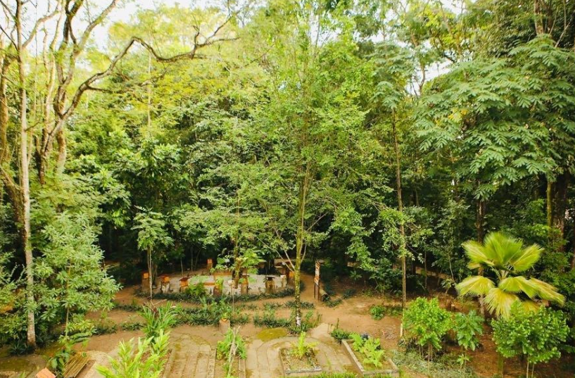 Jardim Botânico de Salvador conquista Certificado de Mérito em premiação internacional